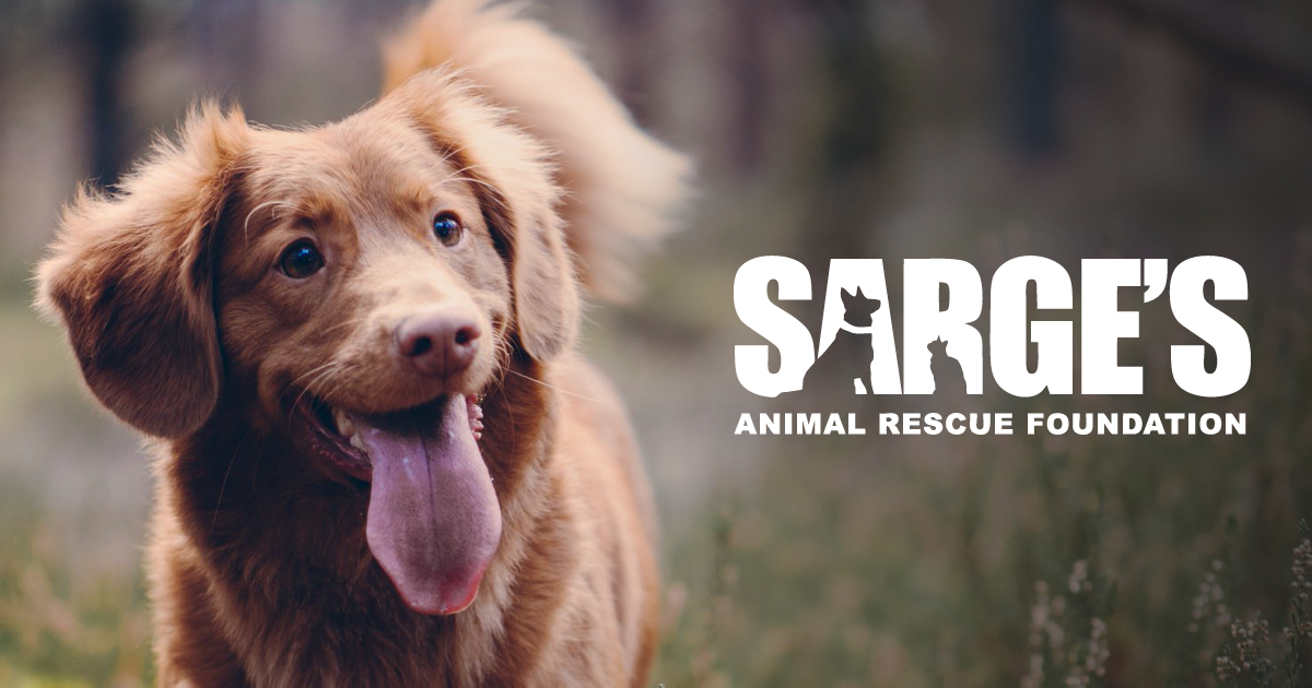 Home - Sarge's Animal Rescue Foundation, Inc.