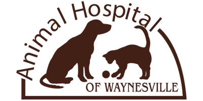 Animal hospital of waynesville site