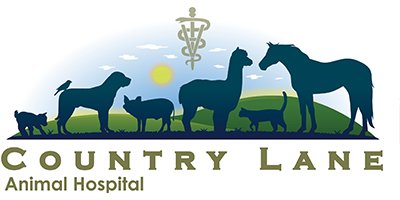 country animal hospital